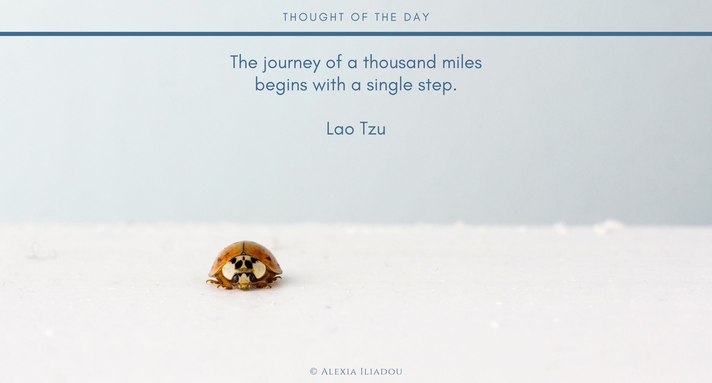 Journey