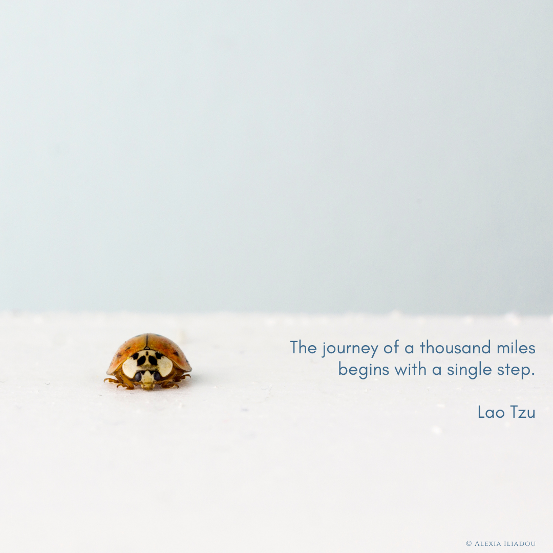 The journey of a thousand miles begins with a single step. Lao Tzu